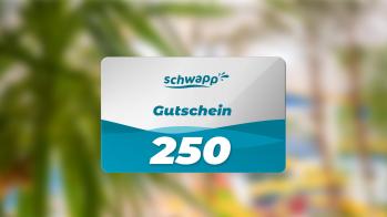 Gutschein 250€